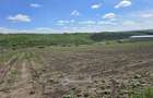 Teren intravial - Valea Lupului 665 m - 5