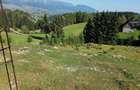 Cabană montană cu panoramă Bucegi & Piatra Craiului – Fundata - 8