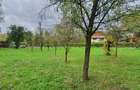 Casă + teren de vânzare în Șișești, Maramureș - 2