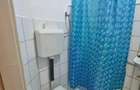 apartament cu 1 camera zona BALCESCU la 59.900 euro - 2