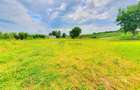 Teren intravilan 717 mp – Sura Mare, Sibiu - 2