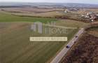 Teren intravilan 2500mp, Bucov - 1