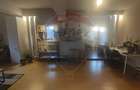 Apartament 67 mp util de vanzare Orizont 2 Paleu, zona metropolitana - 5