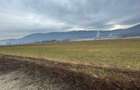 Teren Construcții intravilan de 11500 mp, în Bartolomeu - 4