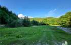 Teren Intravilan 12000 mp, Cascada Urlatoarea, proiect aprobat pentru Resort, la - 6