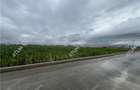 Teren intravilat de 9000 mp cu PUZ situat in zona Industriala Vest - 4