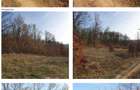 teren in suprafata de 2.410 mp mp Paleu, jud. Bihor (licitatie) - 3