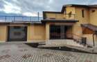 Casa impresionantă 7 camere, piscină, 350 mp utili, 1900 mp teren, Mihai Viteazu - 19
