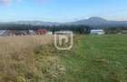 Teren intravilan  – Poiana Stampei 🌲 - 2