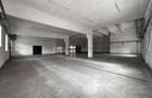 Hala/ spatiu comercial Pascani, 1500mp - 18