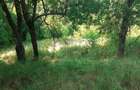 Roscani-Dobra-Teren Cabana-10km A1-Posibilitate Rate - 1