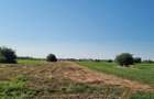 Teren intravilan 2.000 mp, două loturi construibile – Darvari, Ciorogârla - 14