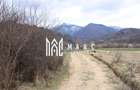 Pământ I Fereastră către Eternitate în  Transilvania - 19