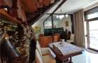 Royal Imobiliare -vanzare vila/ casa de vacanta zona CAMPINA - 37
