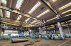 Inchiriere complex industrial versatil *hale - birouri - platforme betonate*  - 3