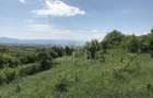 Teren extravilan - 8000 mp, Gusterita - 2