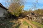 Reco Casa 3 camere si teren 2600mp in Burzuc - 8