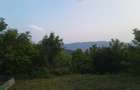 Casă bătrânească plus teren 9515 mp. Sălătrucel sat Serbănesti - 11