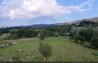 Investitie teren generos 3021 m limita intravilan, Via Transilvanica, Sinca Noua - 5