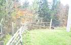 Teren intravilan situat in Busteni-Valea Alba - 2