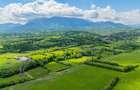 Teren de investiție în zona Tohanul Nou - Bran  5.800 mp - 10