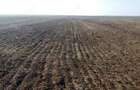 Teren agricol de vanzare 340 Hectare in Arad - 2