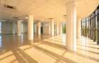 Spațiu Comercial Birouri 350 mp Etaj 1 Str. Coșbuc 116-118,Galati - 6