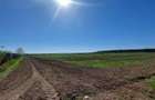 Teren pentru dezvoltare rezidentiala langa padure, in Pischia - 2