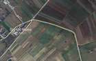 Teren intravilan 5610MP | Darasti-Ilfov | Oportunitate investitie/constructie | - 1
