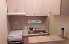 Garsoniera Victoriei COD 289 ideal Airbnb - 3