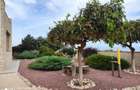 Proprietate Unicat în Costinești-Vila ta Mediteraneană la Marea Neagră - 5