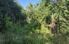 Vand Casa in duplex , curte si gradina proprie, zona Lunei-Printul Turcesc - 11