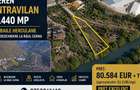 TEREN INTRAVILAN 1.440 MP ~  BAILE HERCULANE, ZONA PECINISCA - 1
