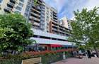THEODOR PALLADY | ASTORIUM MY HOME | CENTRALA | PARCARE - 4