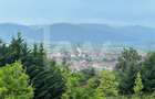 Apartament 3 camere, două băi, terasa 7 mp.-Natura la tine acasă! Cristian-SiBiU - 3