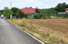 The Forest Collection - lot 500 mp | Padurea Snagov - Ciofliceni - COMISION 0% - 7