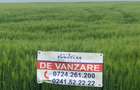 Teren 17.000mp Costinesti - zona Manastire - 100 euro/mp (Cod E2) - 2