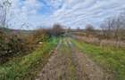 Teren de vânzare in Groși, Maramureș, 55 ari - 7