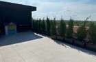 PENTHOUSE 3 CAMERE BANEASA-SISESTI - 8