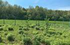 Teren intravilan, Stupini, str. Baciului, deschidere 46ml,parcelabil,îngrădit  - 2