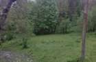 Teren intravilan | Provița de Sus | Breaza | PRAHOVA - 4