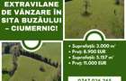 Două terenuri extravilane de vânzare în Sita Buzăului – Ciumernic! - 1