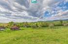 Casă cu teren de 17.681 mp, în loc. Hălmăgel, Arad - 25