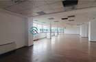 Royal Imobiliare - inchirieri spatii birouri, zona Vest - 9
