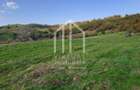 Teren extravilan de vanzare 15,600 mp zona loc... Hamba - 2