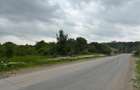Terenul dintre 2 lacuri – 1000 mp în Mogoșoaia, la 5 minute de pădure - 12