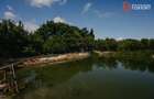 Casa individuala cu 8 camere si lac cu pesti, teren 4424 mp - Jebel - 31