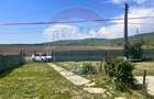 Casă / Vilă cu 4 camere de vânzare - 1