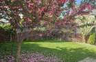 VANZARE 4 CAMERE | 550 MP TEREN | CORBEANCA - 27