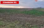 COMISION 0% Teren extravilan agricol 10.000 mp la sosea in Sag - 5
